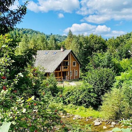 Mysynevyr - Будинок У Серці Карпат ภายนอก รูปภาพ