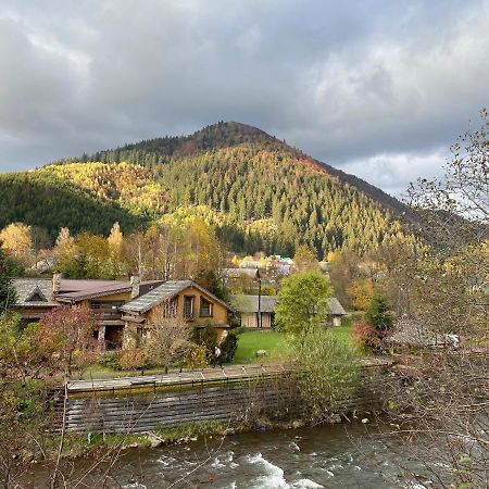 Mysynevyr - Будинок У Серці Карпат ภายนอก รูปภาพ