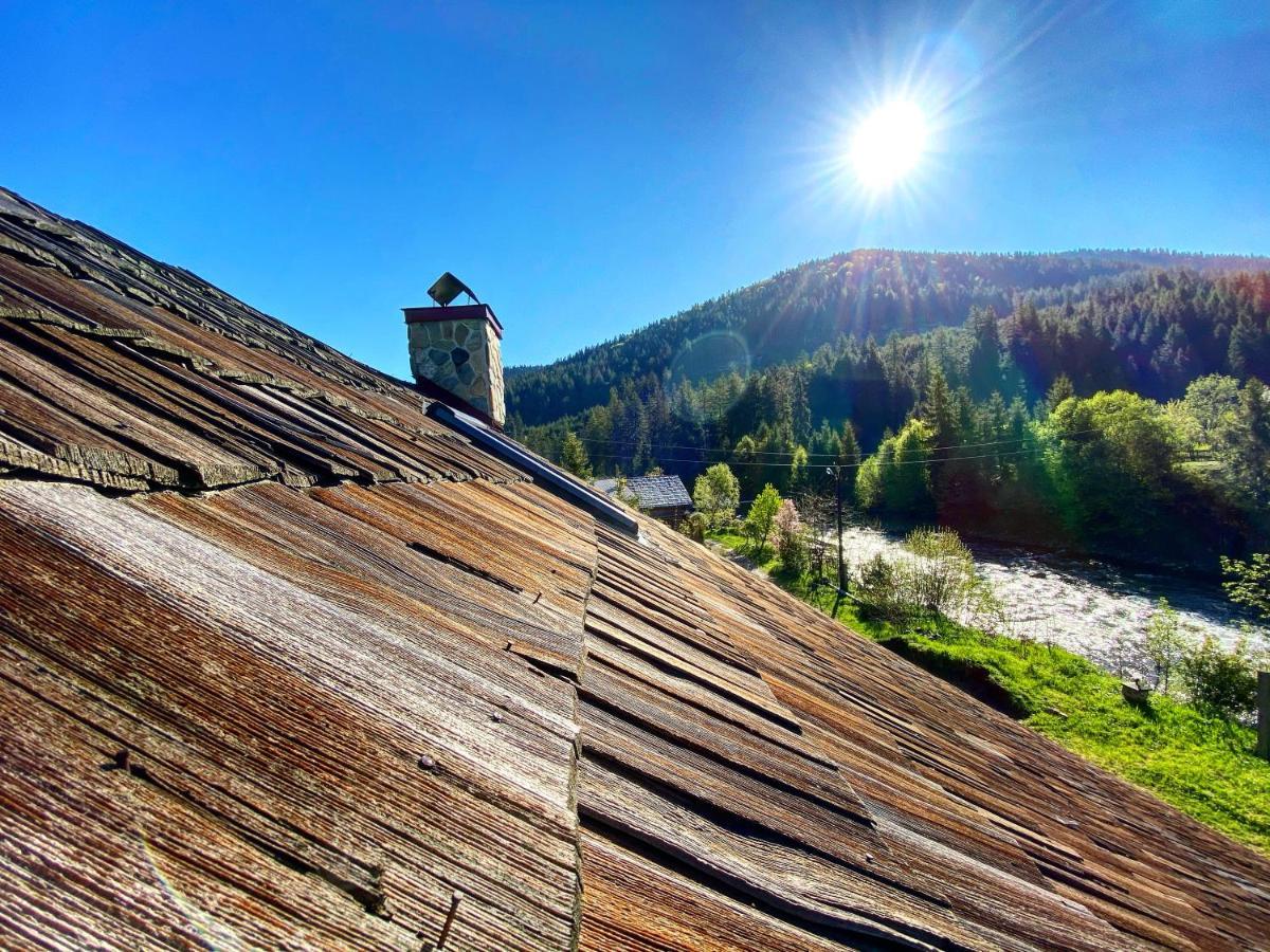 Mysynevyr - Будинок У Серці Карпат ภายนอก รูปภาพ