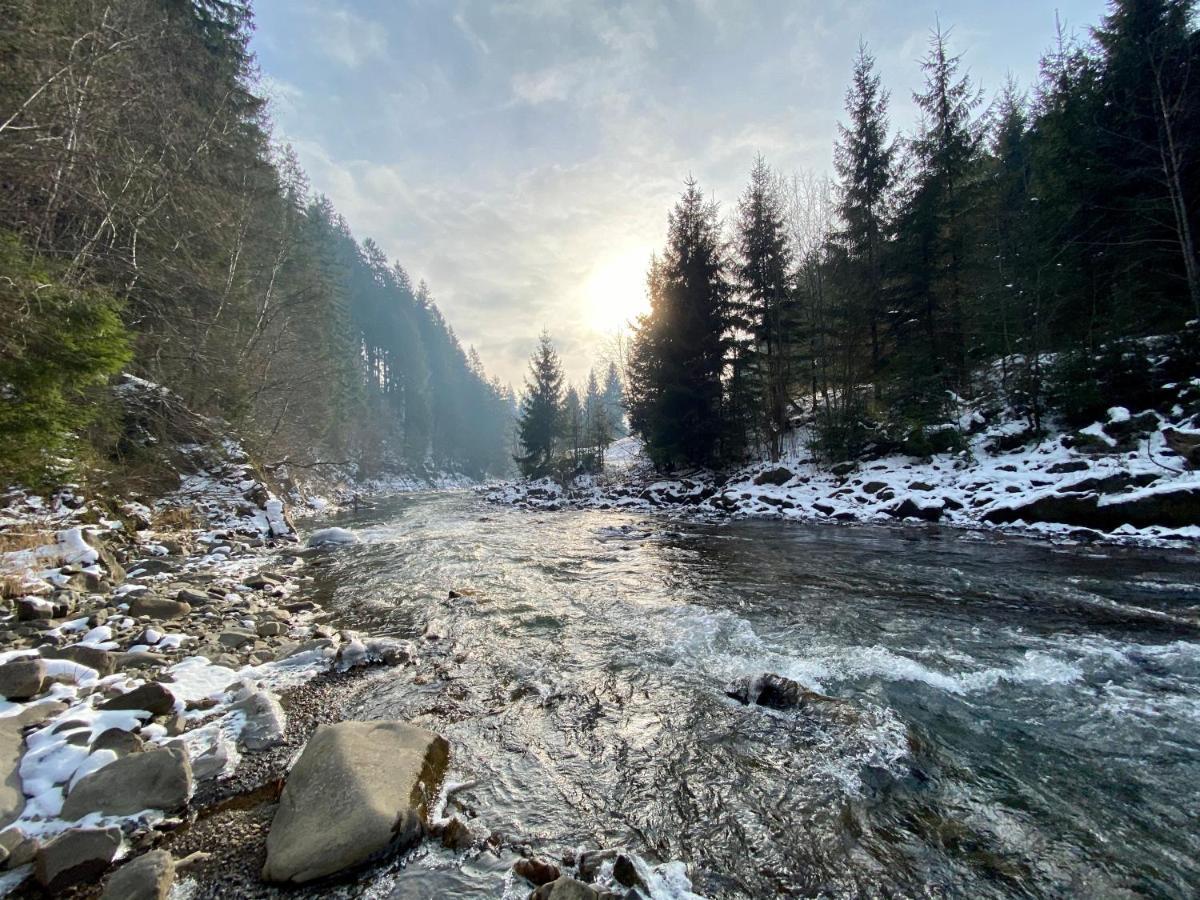 Mysynevyr - Будинок У Серці Карпат ภายนอก รูปภาพ
