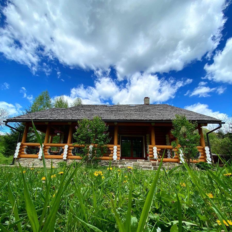 Mysynevyr - Будинок У Серці Карпат ภายนอก รูปภาพ