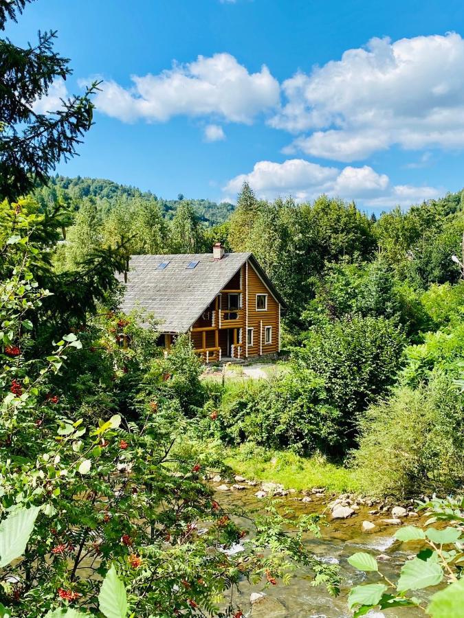Mysynevyr - Будинок У Серці Карпат ภายนอก รูปภาพ